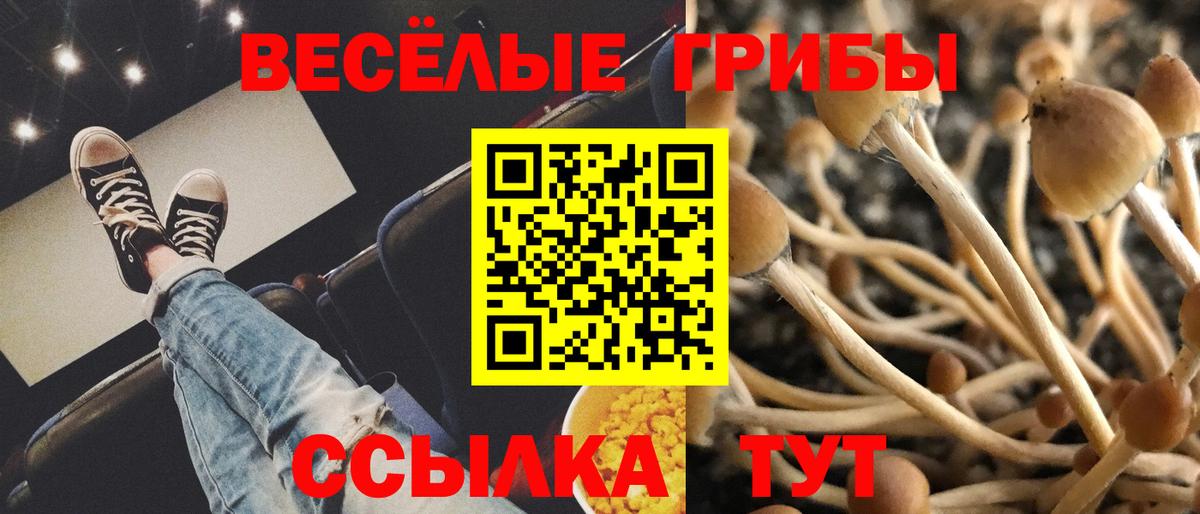 Галлюциногенные грибы Magic Shrooms  Вход с VPN  Новокубанск 